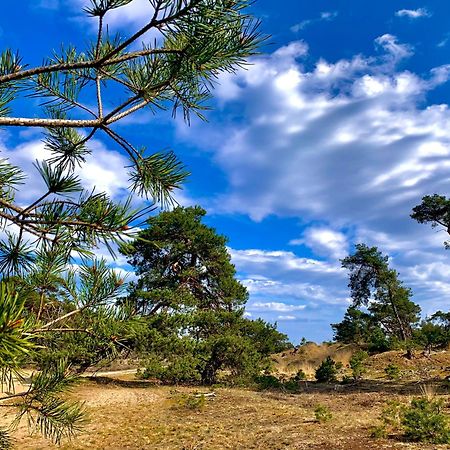 אוטרלו Rode Bosuil: Thuiskomen Op De Veluwe! מראה חיצוני תמונה