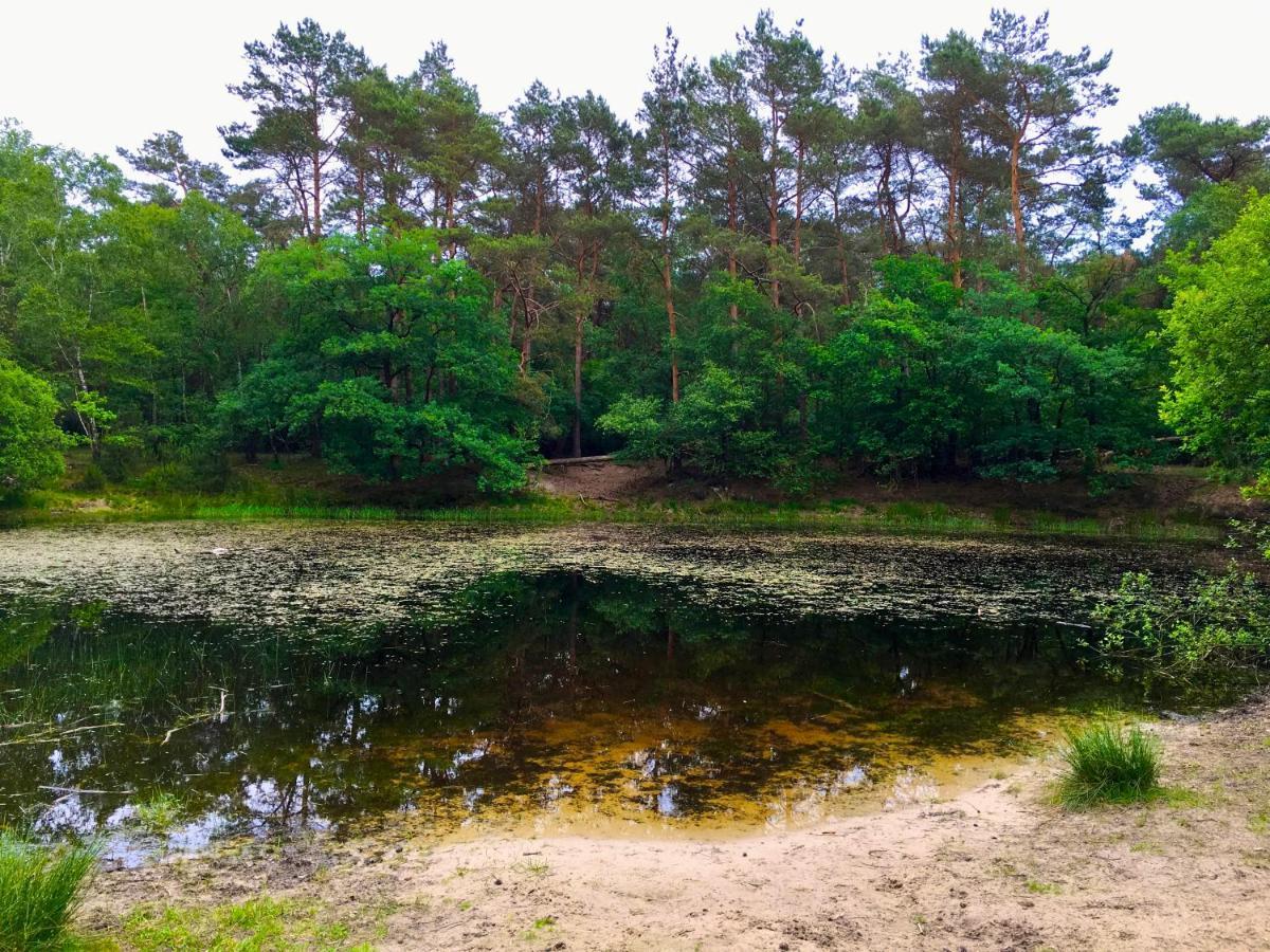 אוטרלו Rode Bosuil: Thuiskomen Op De Veluwe! מראה חיצוני תמונה